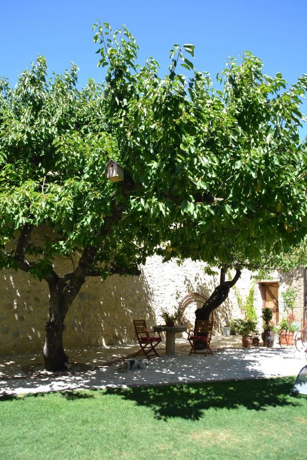 Holidays In Lagrasse Esterno foto